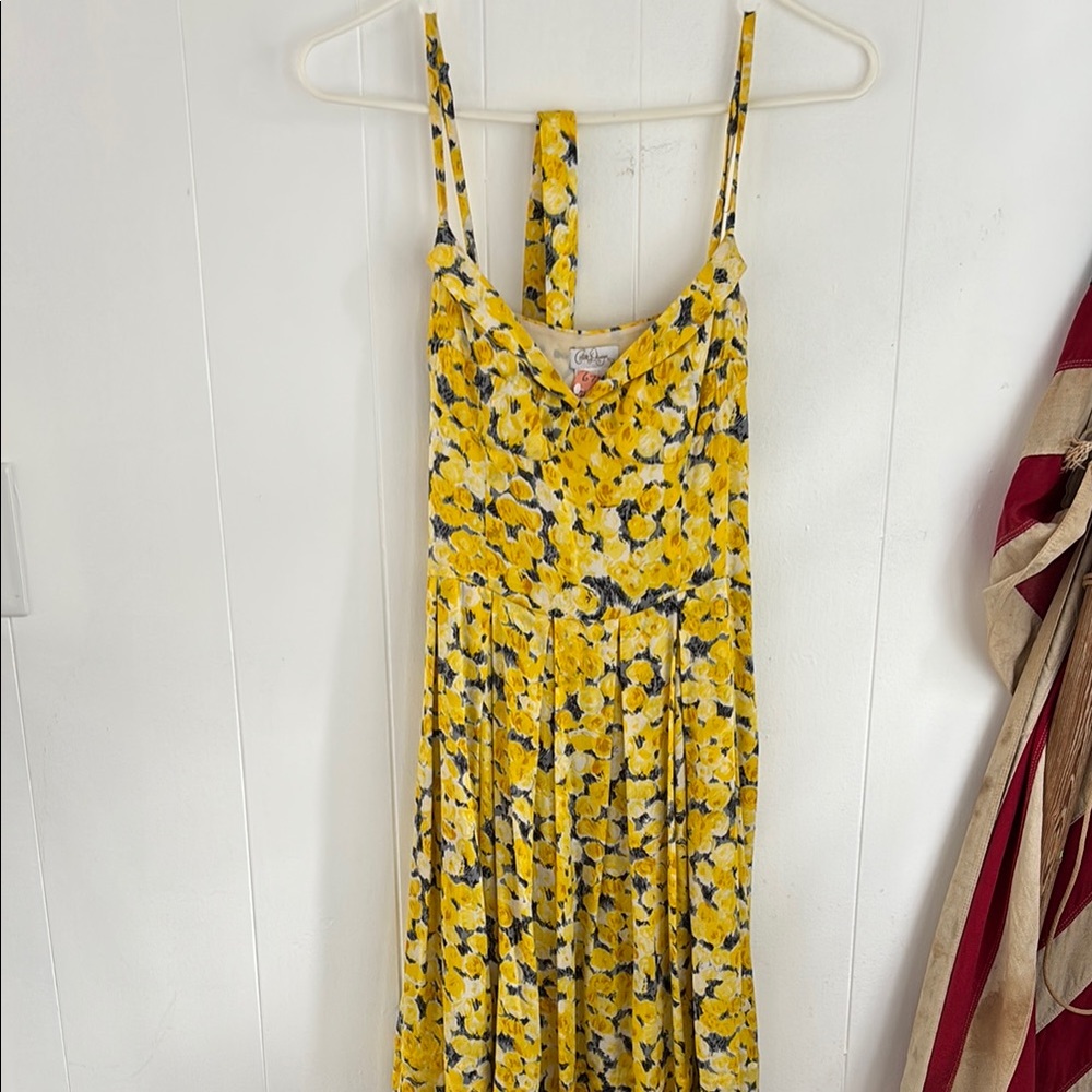 Beautiful Collette Dinnigan silk dress XS